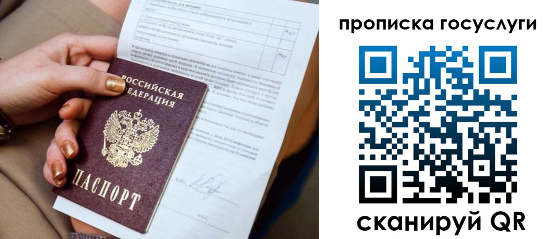 временная регистрация поиск в Владивостоке